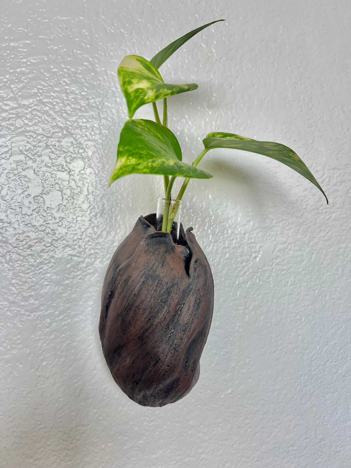 Wall Pod Vase – Dark Brown