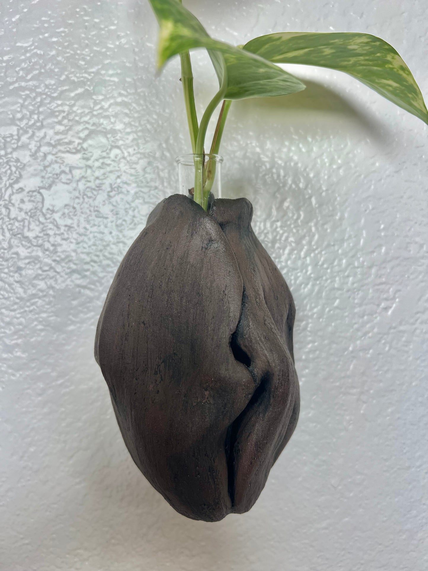Wall Pod Vase – Dark Brown