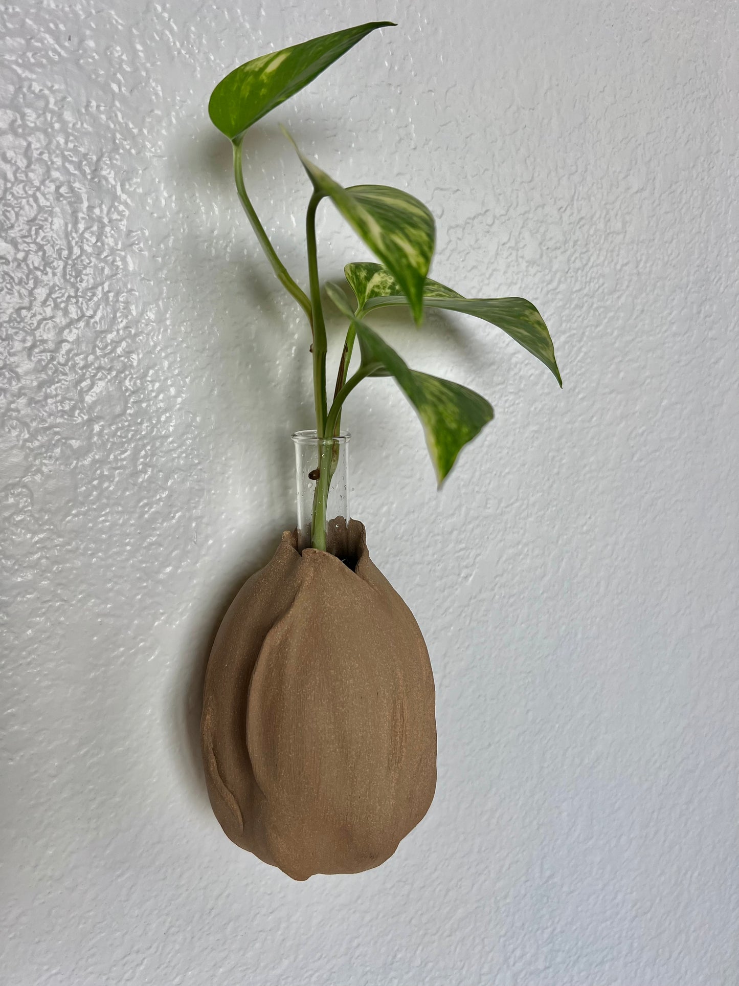 Wall Pod Vase – Light Brown